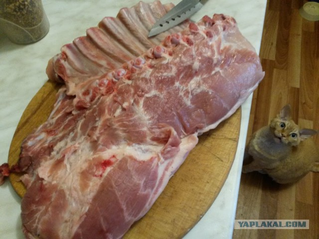 Баранина с картошкой(пирожок) и харчо