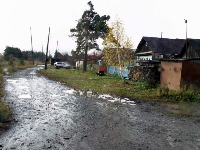 Синячихи.