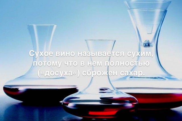 35 занимательных фактов