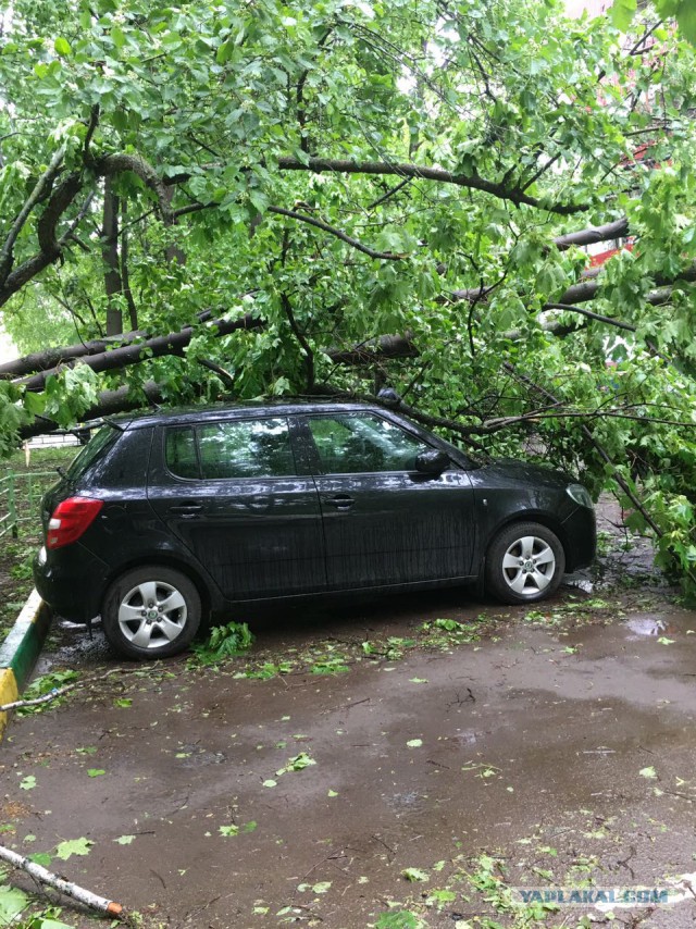В Москве ураган!