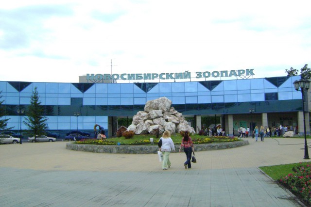 Новосибирск