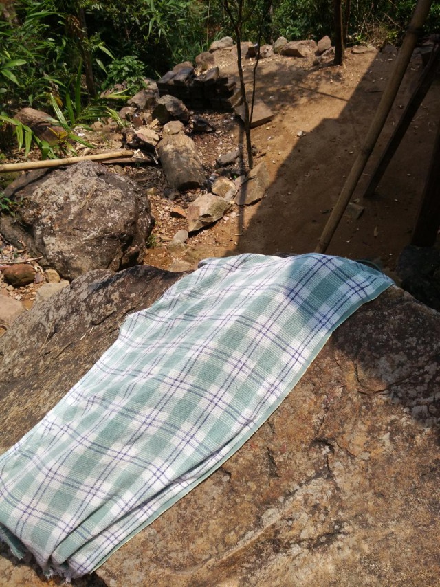 К живым мостам и обратно. Заметки из Индии