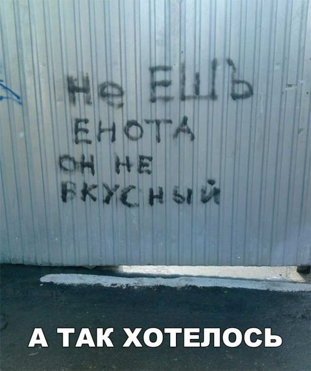 Смешные объявления, надписи и вывески