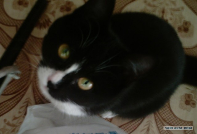 КОТовторник 13.04.2010г.