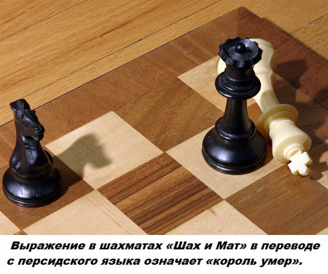Подборка бесполезных фактов.
