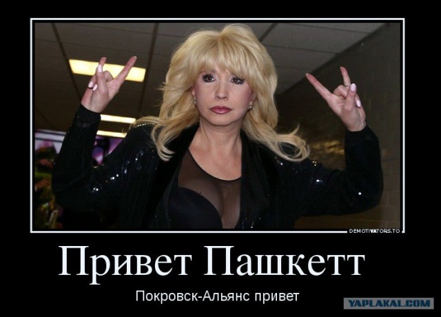 Пашкет, демотиваторы и мемы