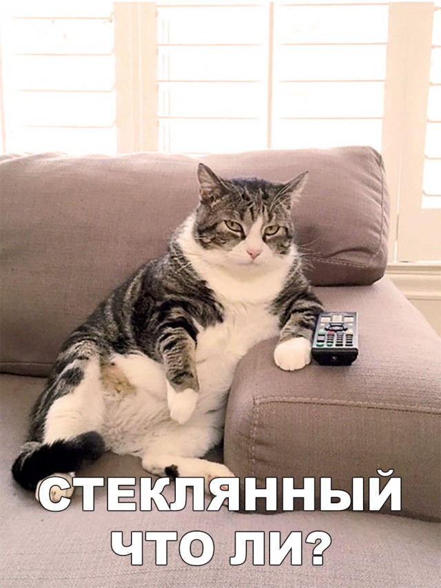 Немного милоты