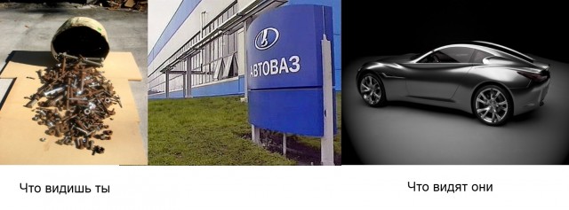 Как видят мир животные