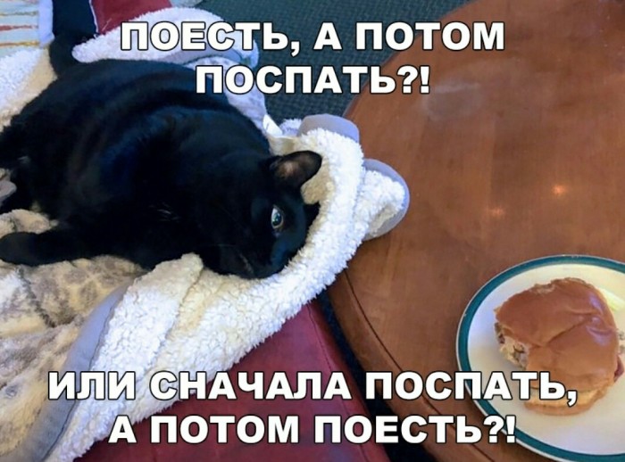 «Картинки всякие нужны, картинки всякие важны» ©