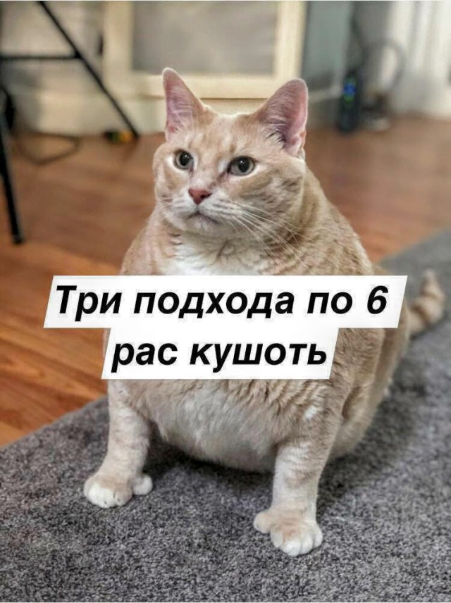 Картинки с надписями, истории и анекдоты 13.09.19