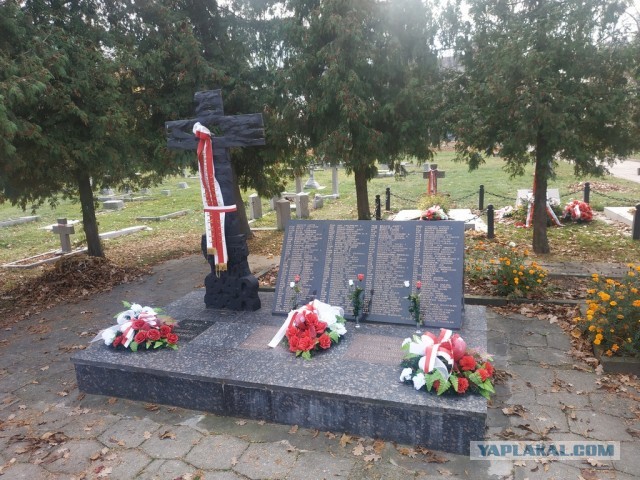 ЯП вокруг света. Германия, Австралия, Китай...