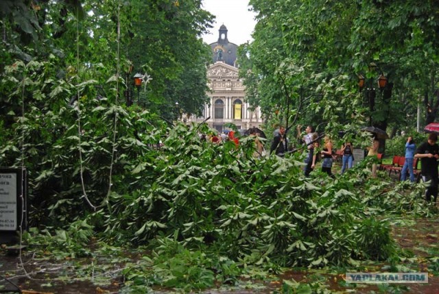 Ураган во Львове.