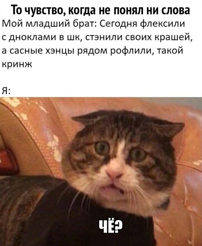 Неужели они и правда так говорят?