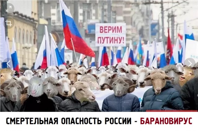 А тем временем в краснодарском крае беда с пропусками на транспорт