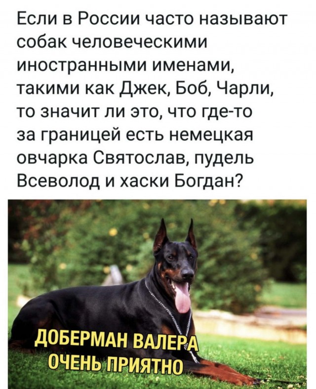 Бредзона 29.11.20