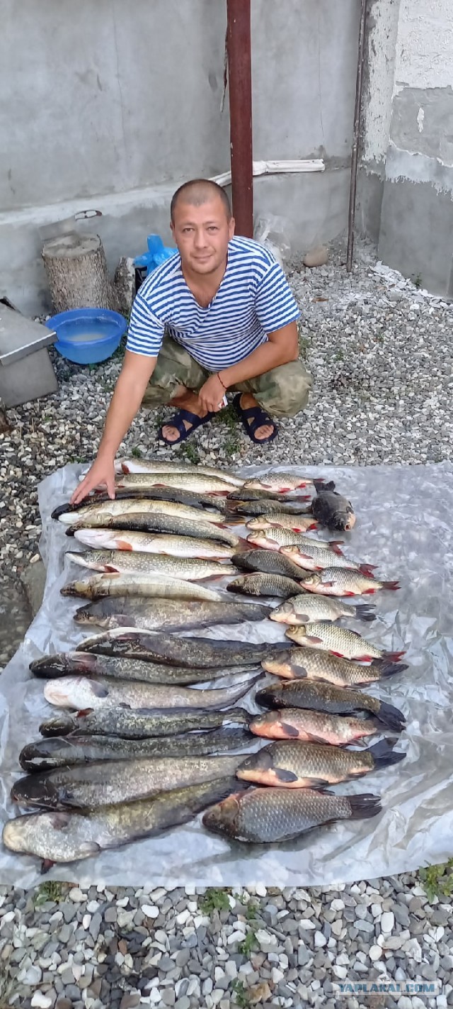 Лето, речка, караси