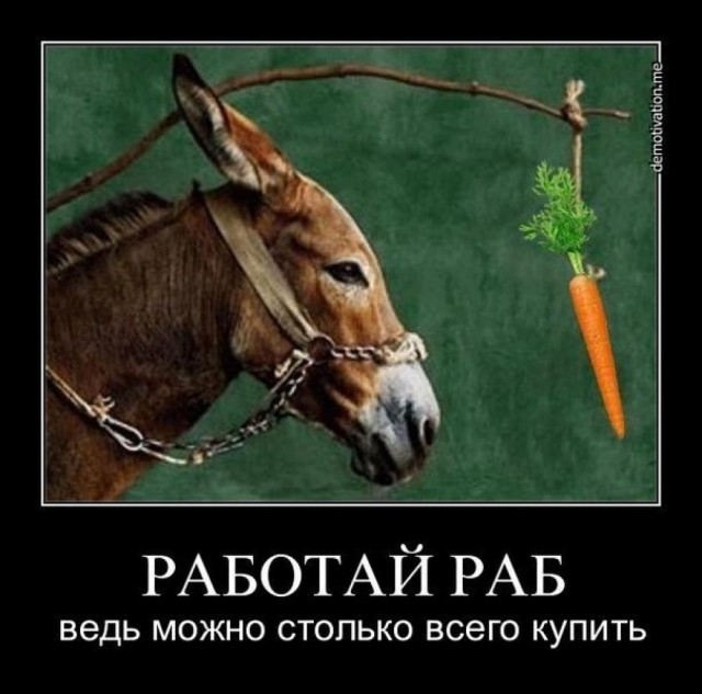 РАБоирония или реальность
