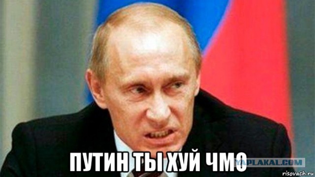 В Госдуме предложили ужесточить наказание за оскорбление президента России