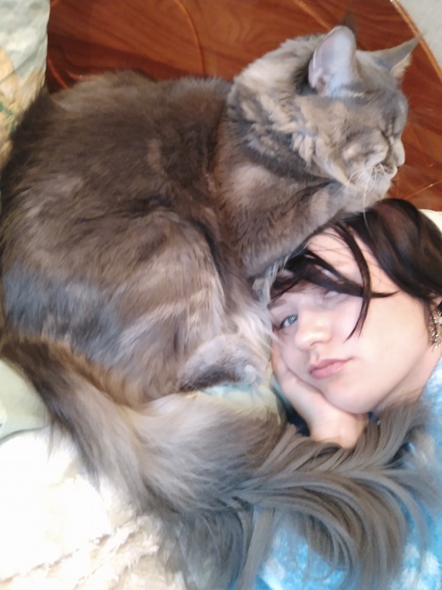 Котовторник!
