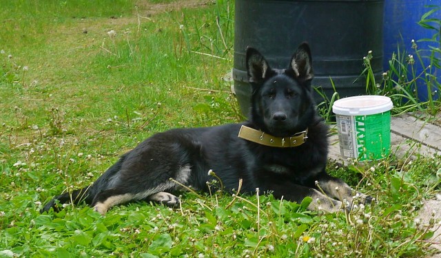 Когда то я была меньше кота, а теперь мы друзья