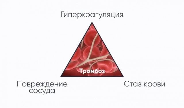 Пандемия. Коронавирус. Россия и мир. Последняя информация. Часть 25