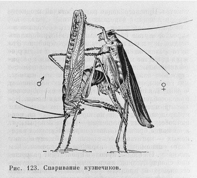 Картинки и мемы всем прекрасных выходных
