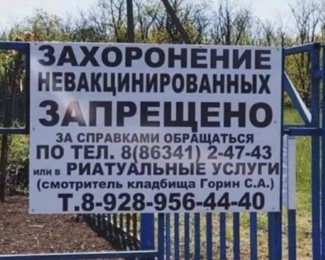 Всяческие картинки 24.12.2021