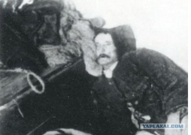 Не забывайте люди об этих зверях, никогда