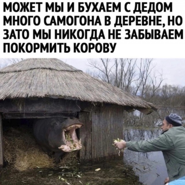 Прикольные и просто красивые картинки 14.03.2022