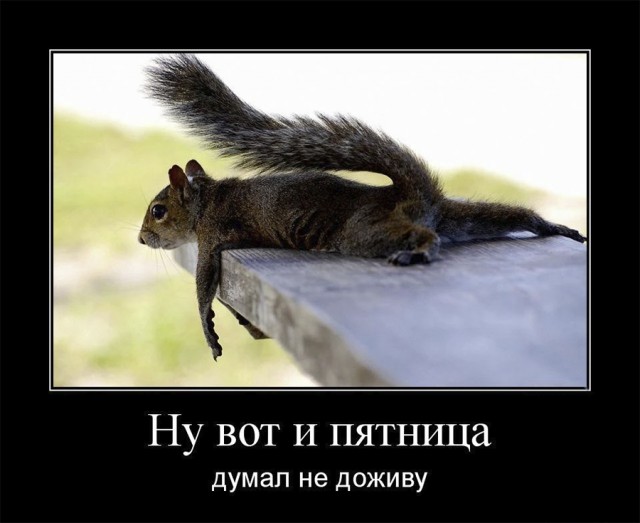 В пятницу чуть-чуть, уж точно можно деграднуть!