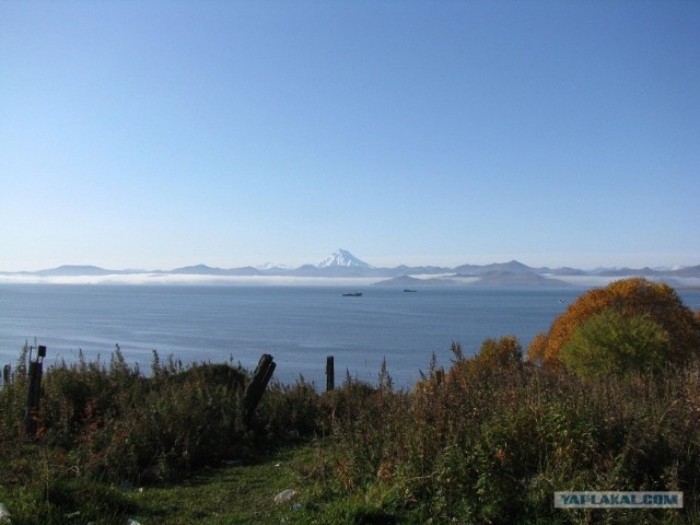 Городок N на Камчатке