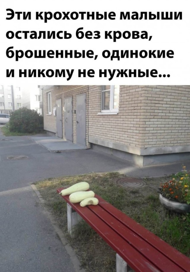 Немного картинок."Колбасный ветер". Август