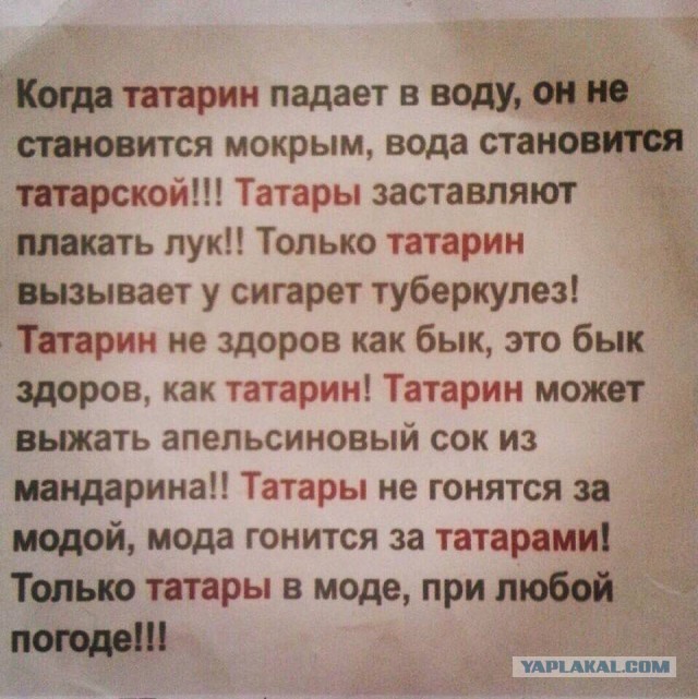 Весёлый полтишок  26.10.22