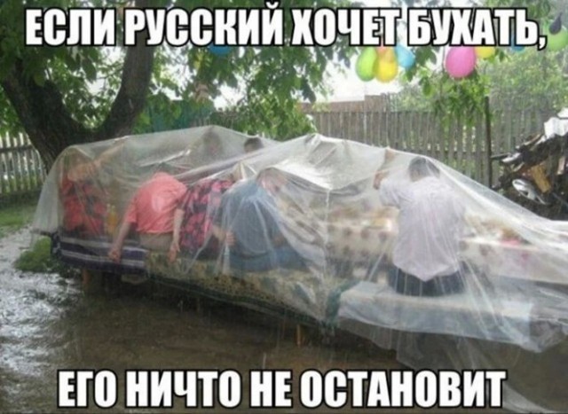 17381816.jpg