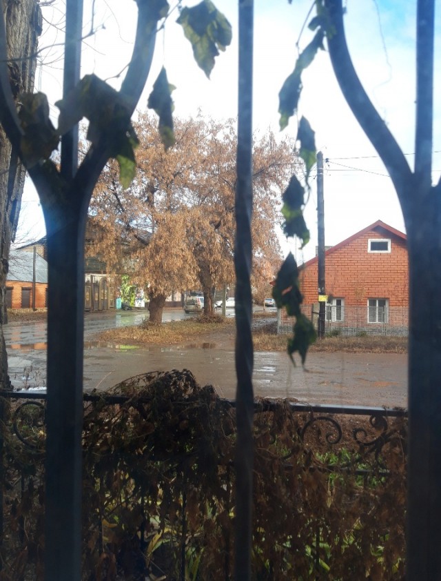 За окном