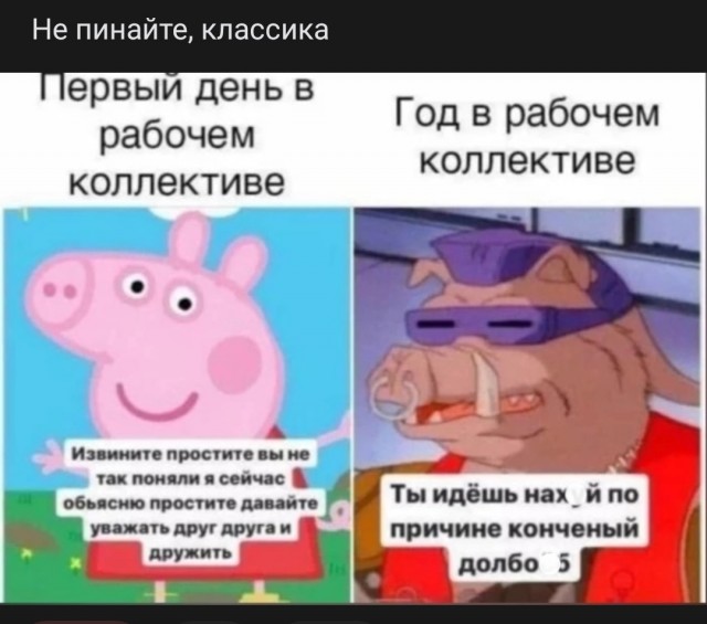 Равноправие женщин и рождаемость