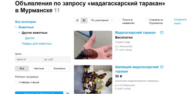 Заклинатель тараканов