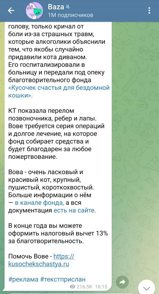 Этого кота зовут Вова, и его в тяжелом состоянии забрали у хозяев-алкоголиков.