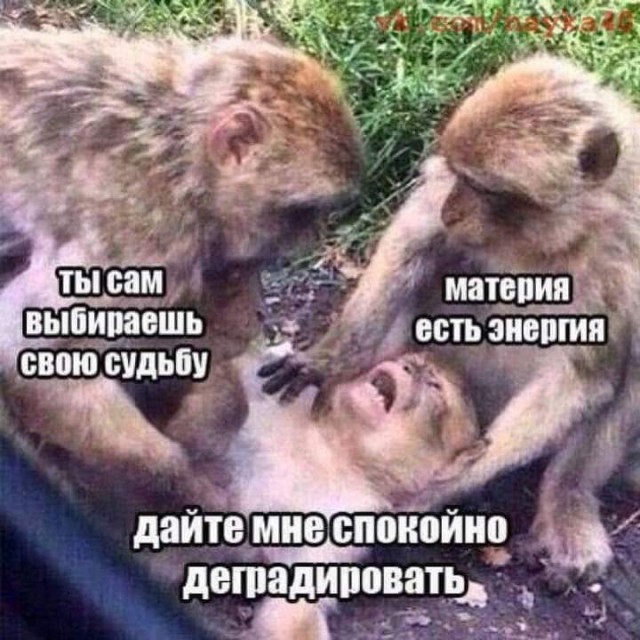 Пятничное улыбательное