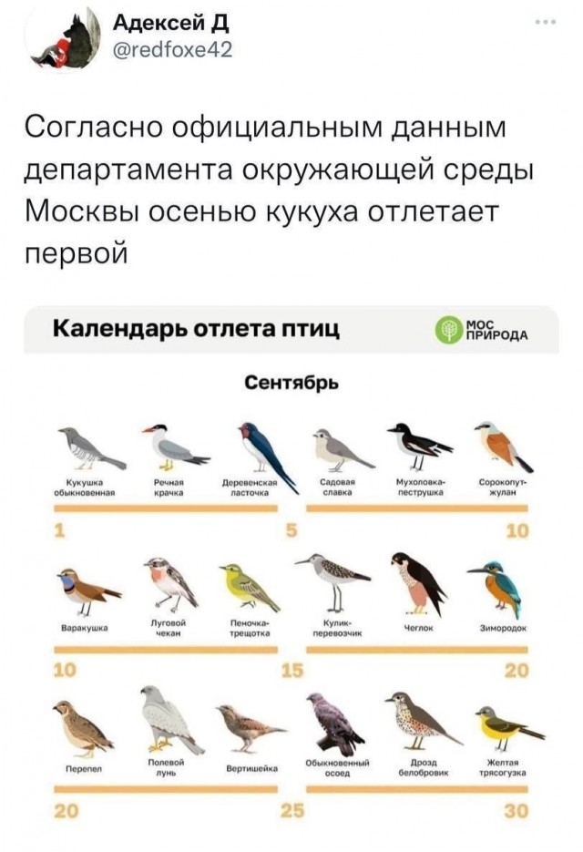 Нуштош 20.09.2023