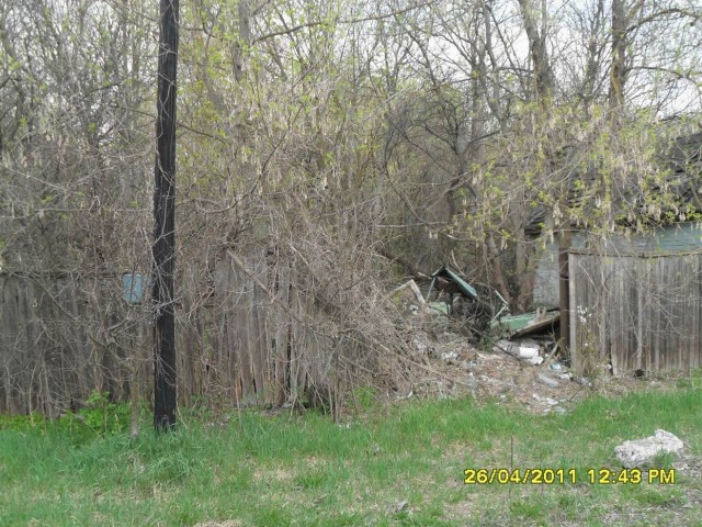 Чернобыль 2011
