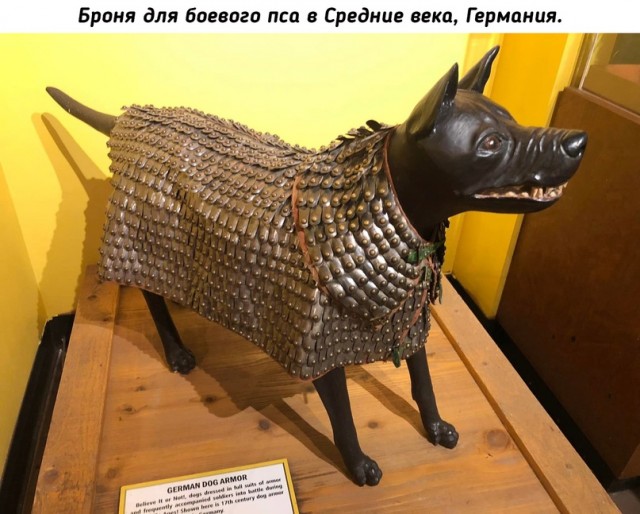 Небольшая подборка исторических фото (14.11)