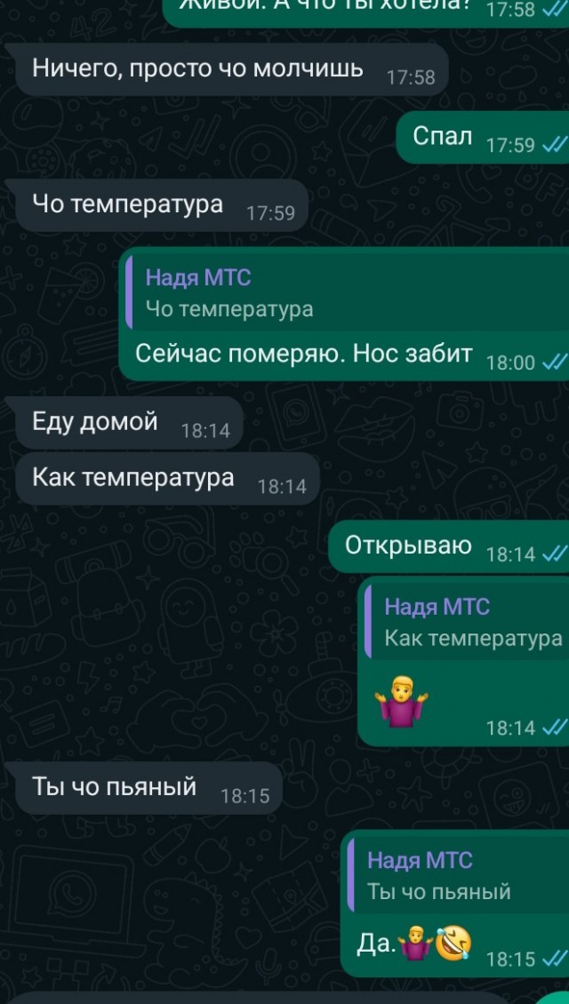 Заметки начинающего алкоголика