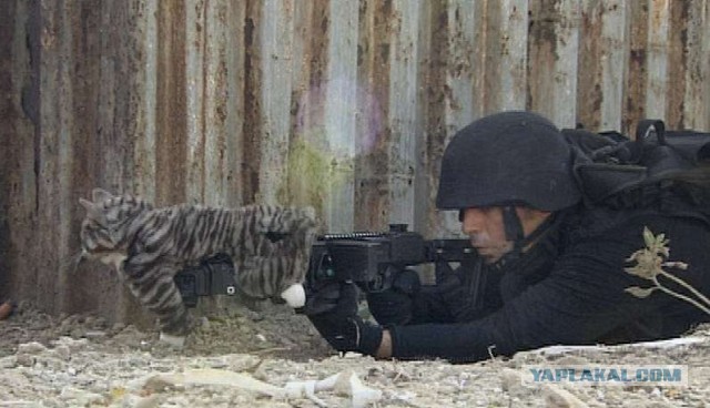 Семья в войне