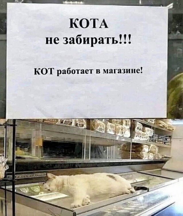 Завалялось тут случайно немного забавных картинок
