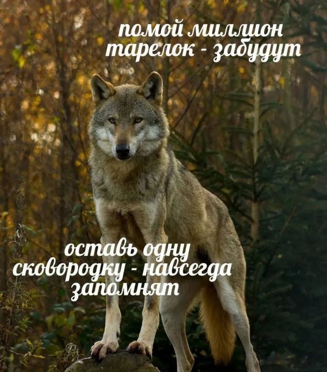 Завалялось тут случайно немного забавных картинок