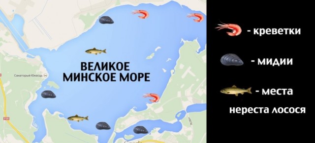 Книжный ЯП клуб