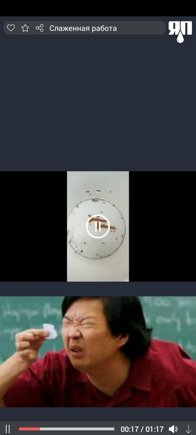 Еда