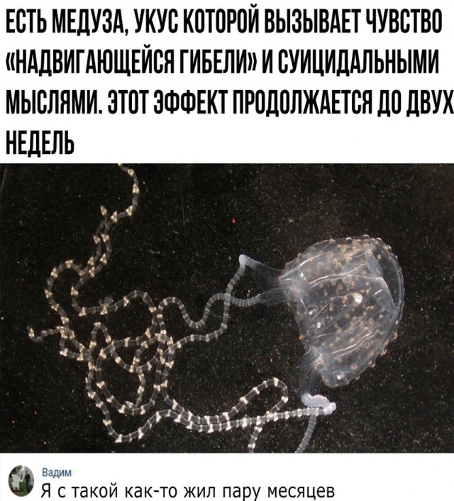 Так себе картинки 12.11.24