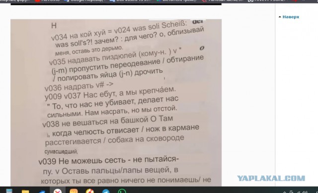 Девушка нашла русско-немецкий словарь